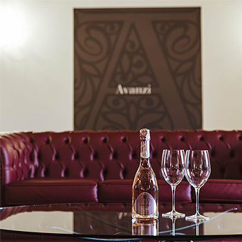 Zona degustazione cantina Lago di Garda