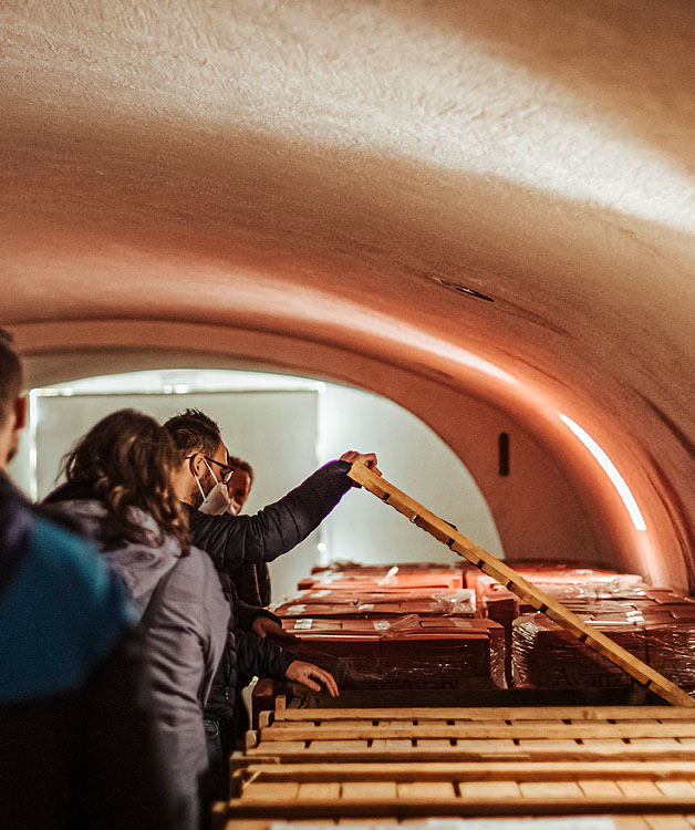 scopri i segreti della produzione del vino sul Garda